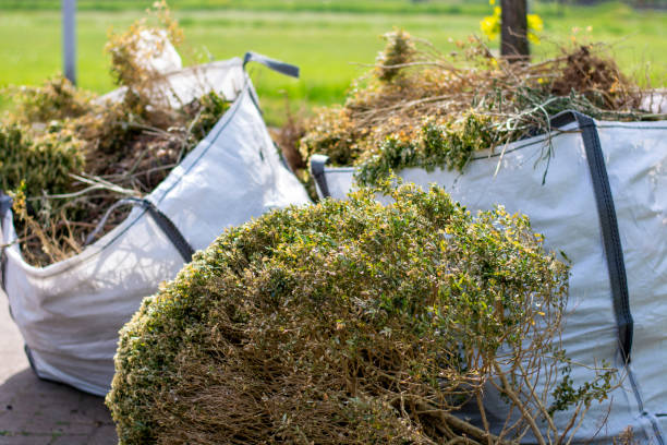 Best Junk Removal and Recycling  in Arlington, MN